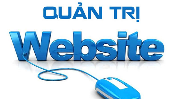 Những tiêu chí đánh giá về một website chuyên nghiệp