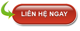 Liên hệ công ty IIT