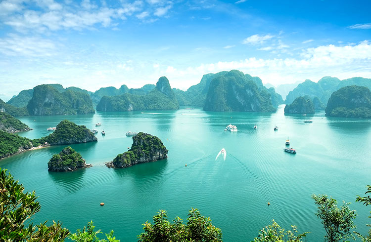 Nổi bật sản phẩm dịch vụ của bạn