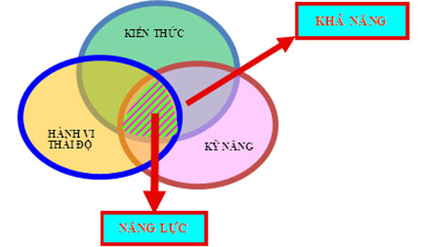 Kinh doanh dịch vụ cần một trang web như thế nào?